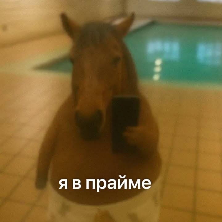 лайк, если тоже в прайме — Mariaaaaxaxaxa · Стрекоза