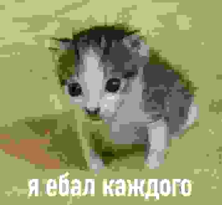Бля, мне нужен психолог... Психиатр наху — DeltaDi · Стрекоза