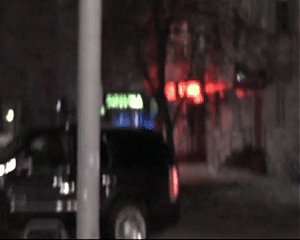 зима примерно так приходит всегда — b10.b0t · Стрекоза