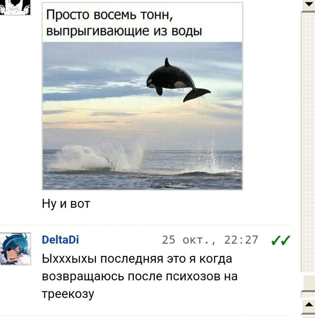 А теперь, кто там блять писал что косаток боится. нахуй вы их боитесь… — DeltaDi · Стрекоза