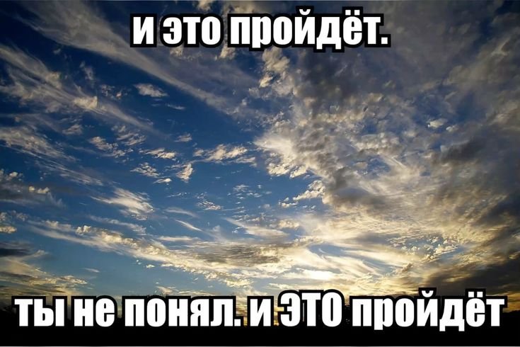 Одна из моих любимых пикч — gerbariyy · Стрекоза