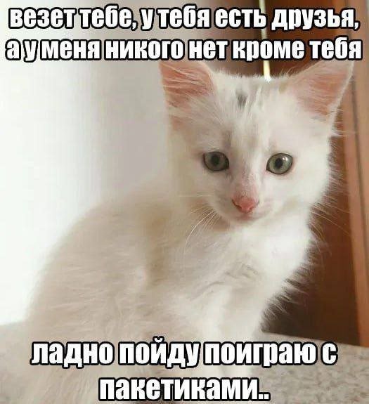 киньте заявок в друзья а то я как лох? — holyfold · Стрекоза