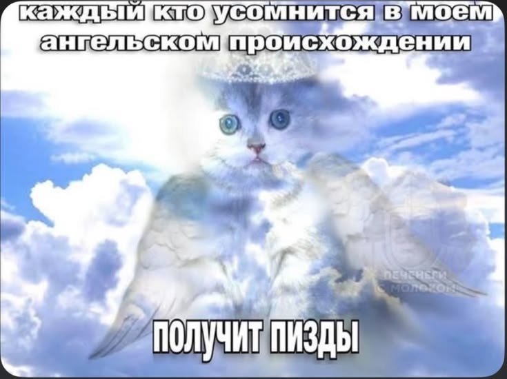 надо замести следы своей злобленькости котеночками — emiliaaoaa · Стрекоза