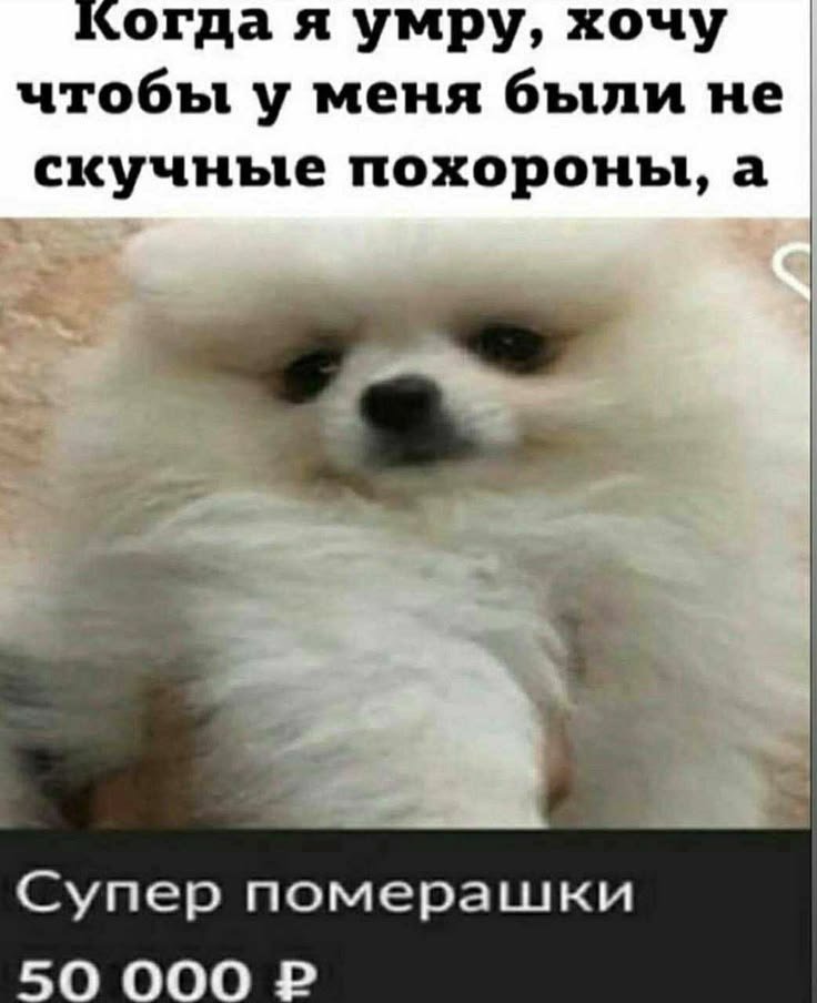 Тобби Фокс — Kris · Стрекоза