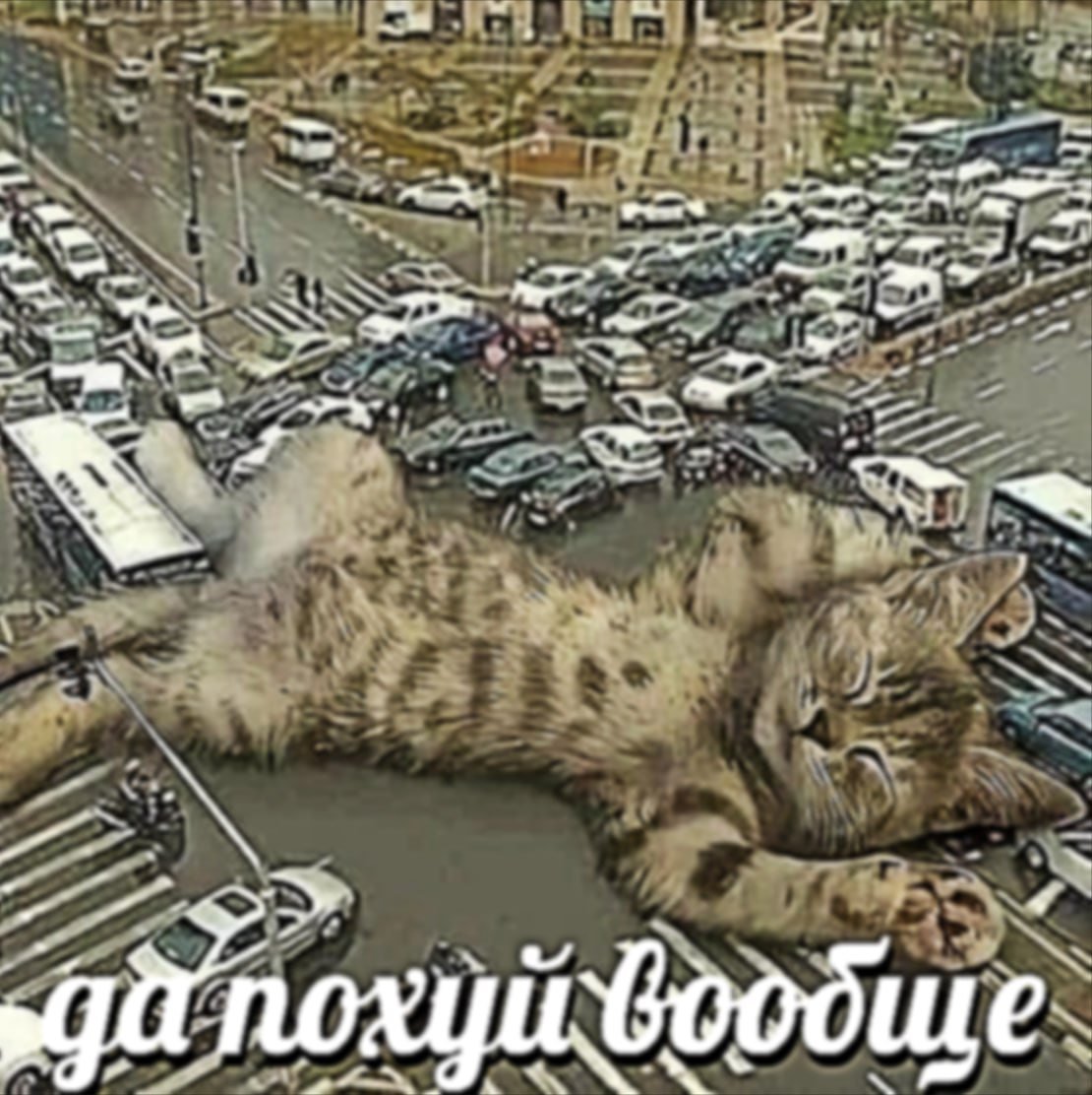 УРРА КАНИКУЛЫ Поздравляю всех!! Пусть эти три месяца длятся бесконечн… — √ ШКОЛА НАМ НЕ ПО ПРИКОЛУ © · Стрекоза