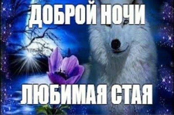 ТЕЛЕФОН ДОВЕРИЯ ЧАСТЬ 3 Кто стучится в дверь Была тихая ночная смена,… — СТРАШИЛКИ|СТРЕКОЗА · Стрекоза