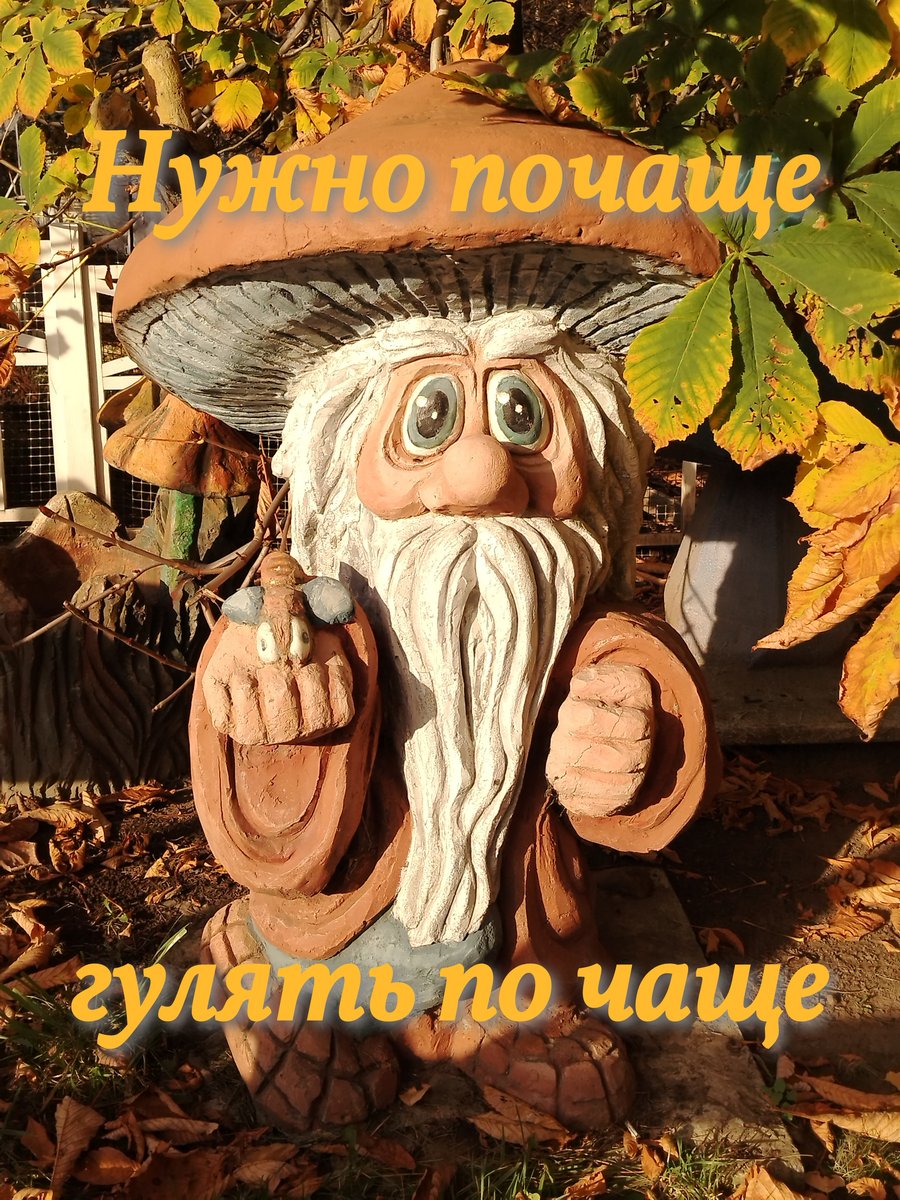 Советы от Старичка-Лесовичка — Murmit · Стрекоза
