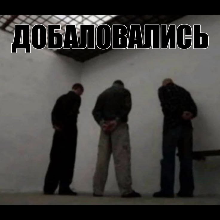 Вот они, слева направо, Ванечка, Ковося, Герметик — DeltaDi · Стрекоза