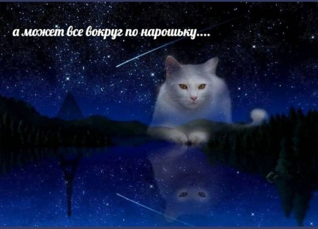 доброй ночи стрекозня любимая. — emiliaaoaa · Стрекоза