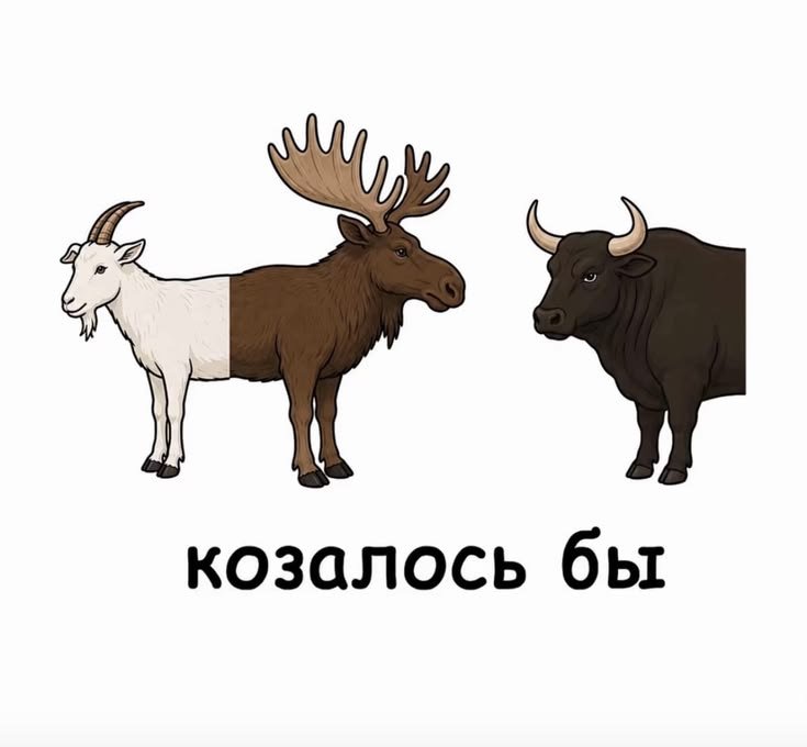 Вот казалось бы, холодно на улице, ночь на дворе, а у меня давление х… — DeltaDi · Стрекоза