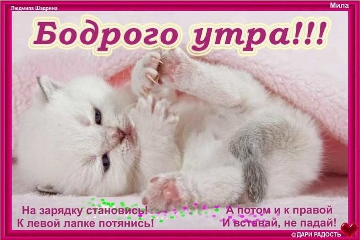 всем доброе утро я проебала занятия — emiliaaoaa · Стрекоза