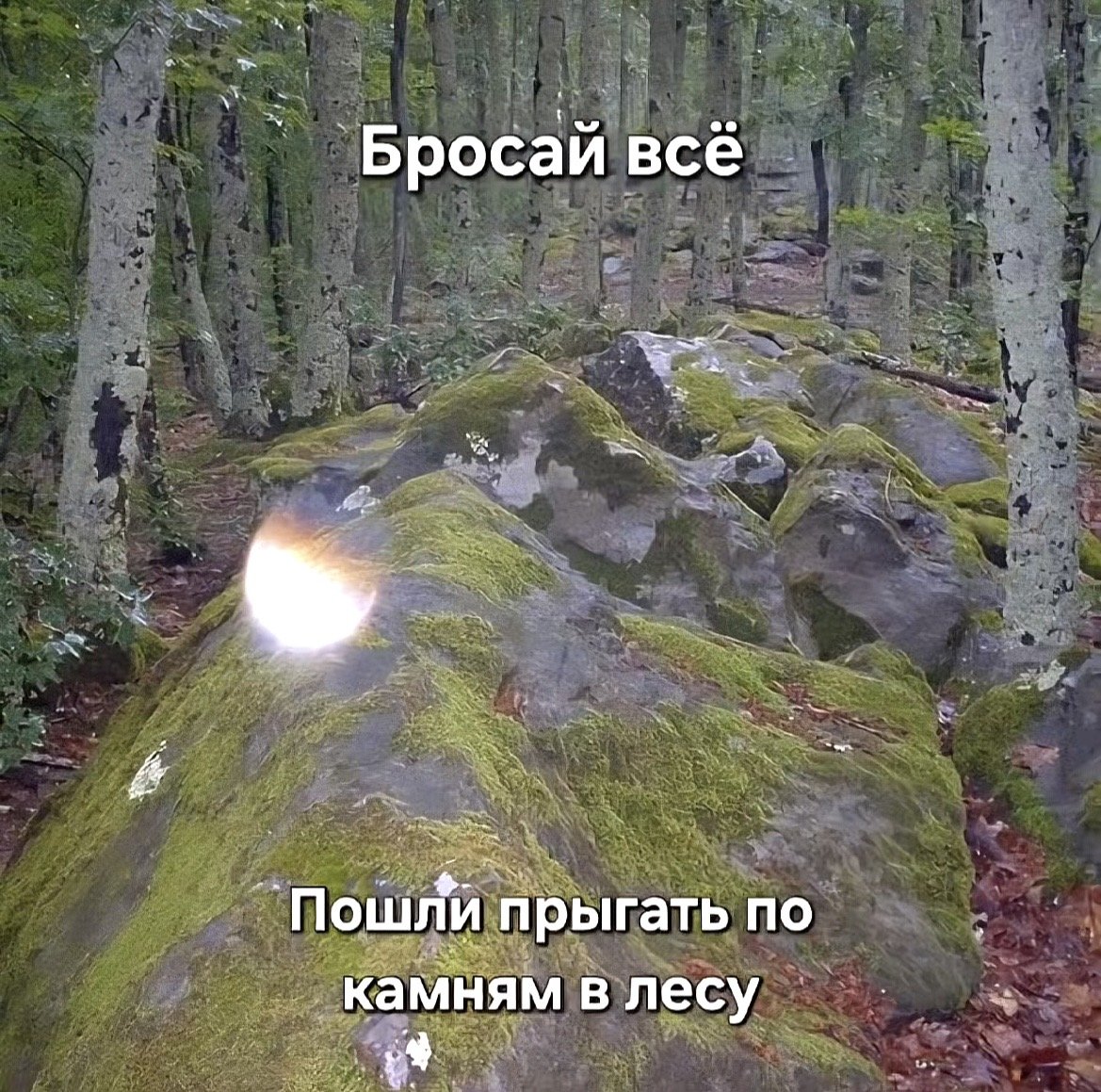 всем привки как же здорово прогулять работу — immemorial_silence · Стрекоза