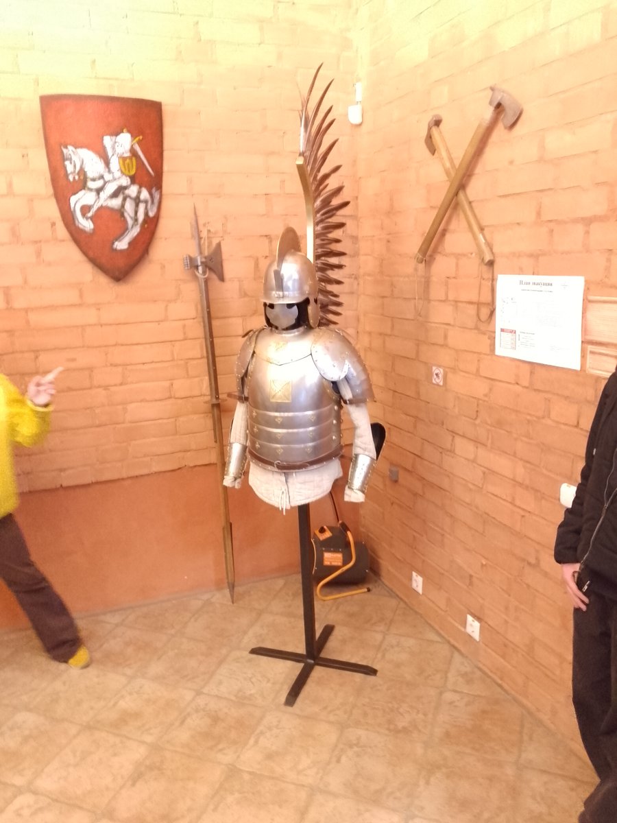 AND THE WINGED HUSSARS ARRIVED! — NePridumalNik · Стрекоза