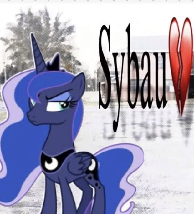 #Мемы #MLP #pony #jojolala — 🦄 My Little Pony  |  Фан-клуб 💖 · Стрекоза