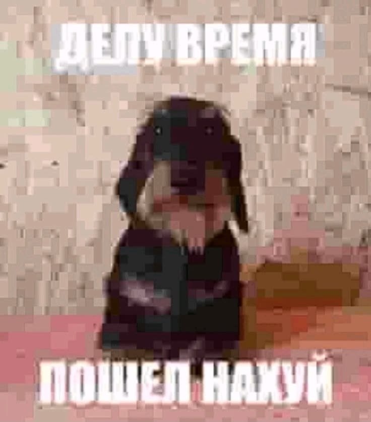 Когда типа задира билли и смеешься над лохами в школе но жизнь над то… — provod · Стрекоза