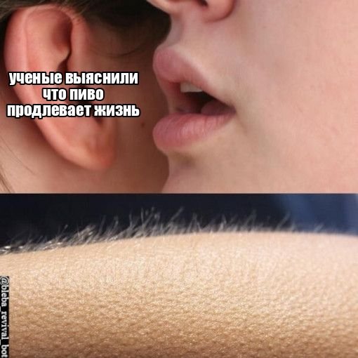 Бот: https://t.me/bleba_revival_bot ТГК: https://t.me/bleba_veshaet — блёба · Стрекоза