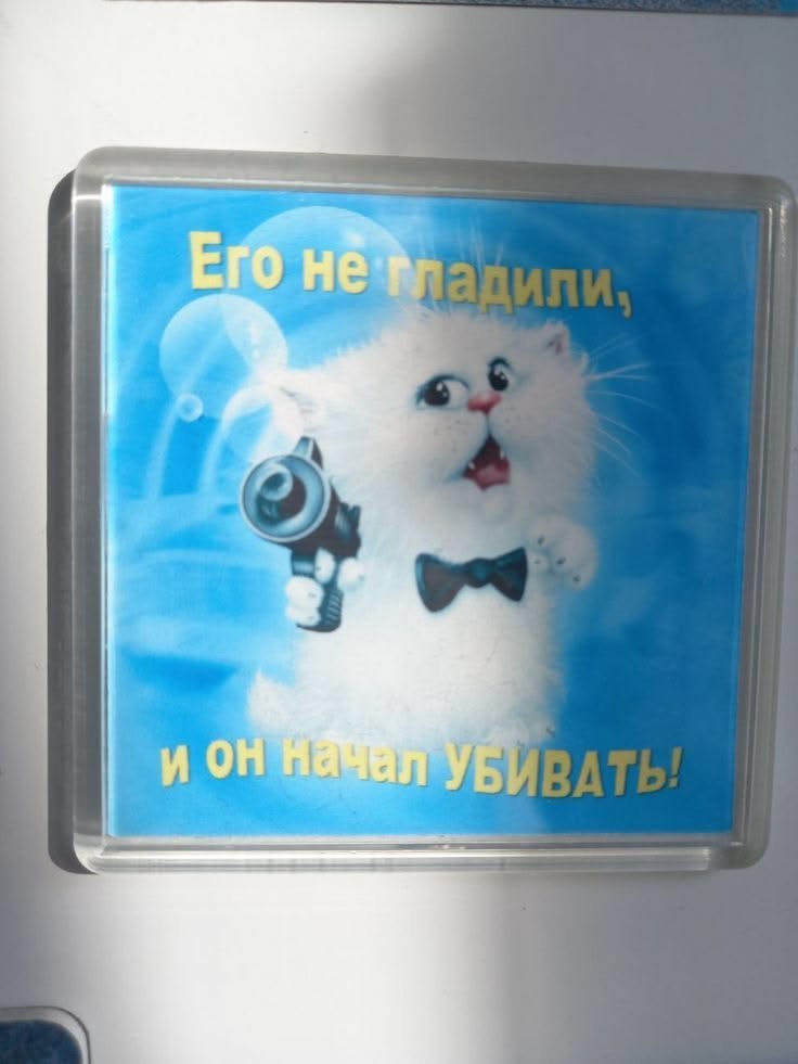 Мне сейчас приснилось что Мася жива я проснулась и заревела меня заеб… — RIMARIMSKAIA · Стрекоза