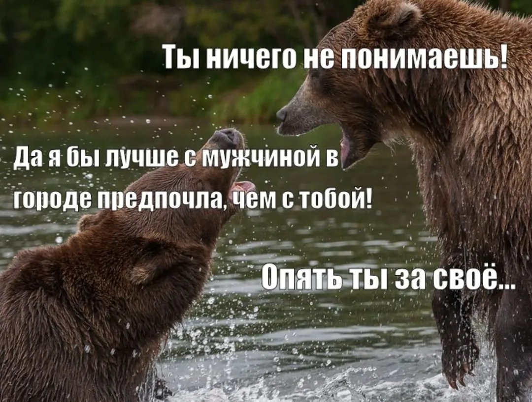 Этот год богат на закрытия — Oklahoma_Mixer · Стрекоза