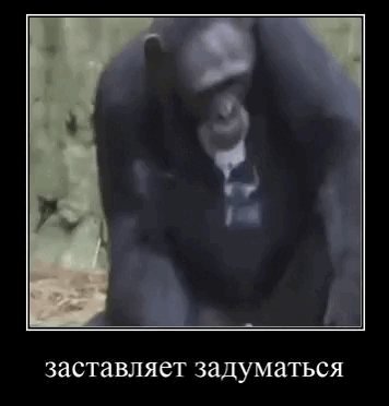Прикиньте порнократия на стрекозе, вот умора — Oklahoma_Mixer · Стрекоза