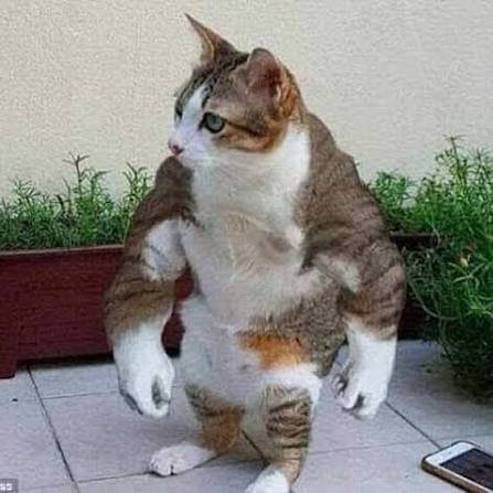 Стрекозойды! В чём сила? — Vanya_D3o · Стрекоза