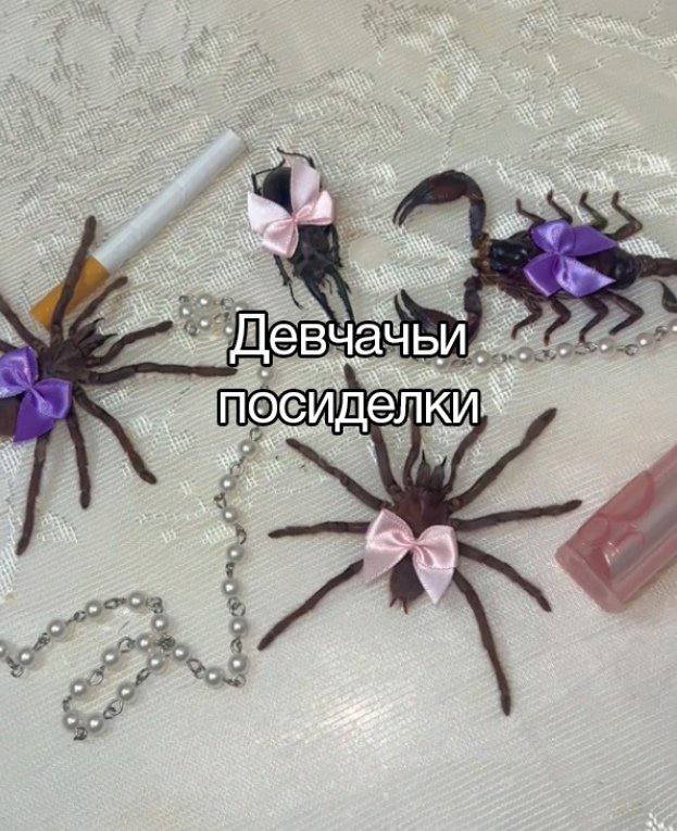 ( Мы мертвы, но все равно собрались в тот самый за год запланированны… — meownancy · Стрекоза