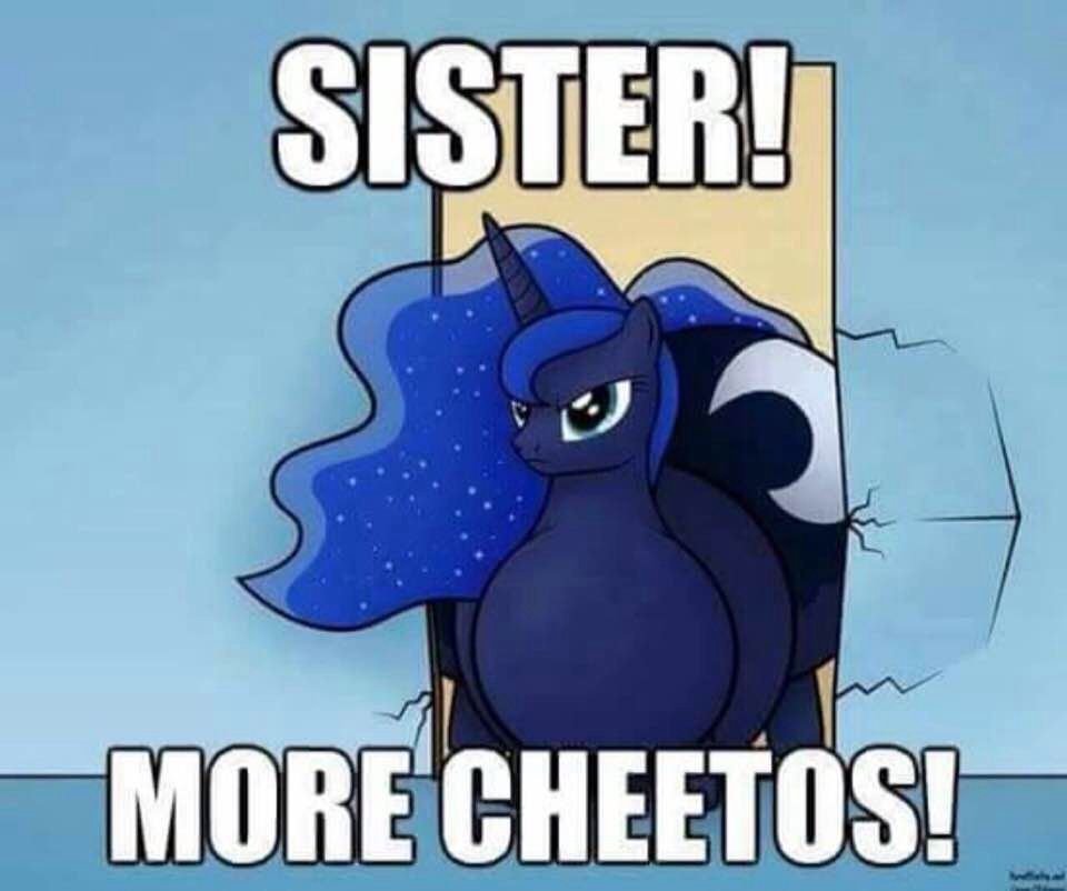 #Мемы #MLP #pony #jojolala — 🦄 My Little Pony  |  Фан-клуб 💖 · Стрекоза