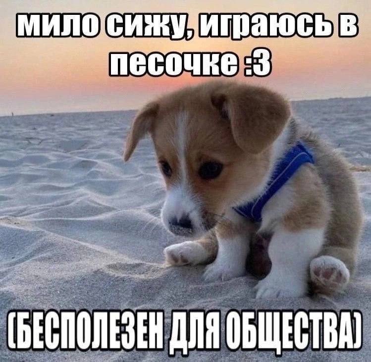 деньги стоят 40 тыщ — n0cta · Стрекоза