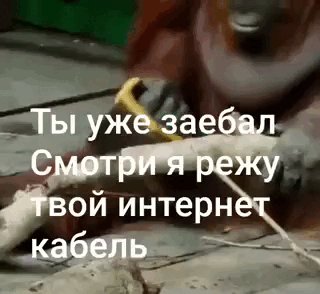 Ковбой смари я режу твой интернет кабель — Oklahoma_Mixer · Стрекоза