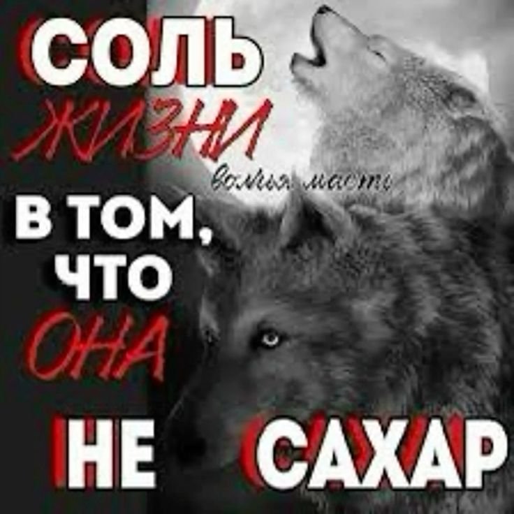 Ауф друзья — Vavavu · Стрекоза