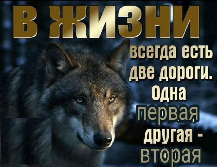 Какую выебешь? — Vavavu · Стрекоза