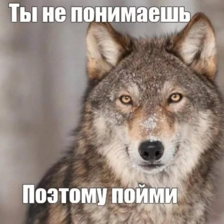 Понимаешь? — Волк - не Тот. · Стрекоза
