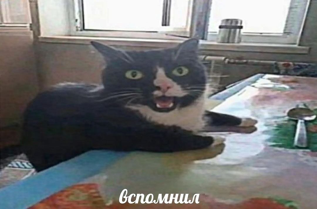 Задумайтесь... — Saihara235 · Стрекоза