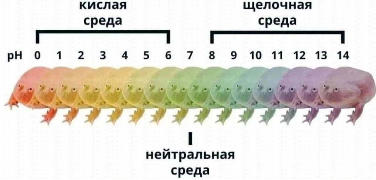 Как проходит ваш день? Оцените его по шкале ниже — Nox · Стрекоза