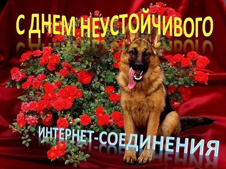 С днем дня! — Волк - не Тот. · Стрекоза