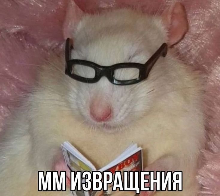 Рубрика ~не для себя, а для друга~ На каких ресурсах вы проводите вре… — Chumba · Стрекоза