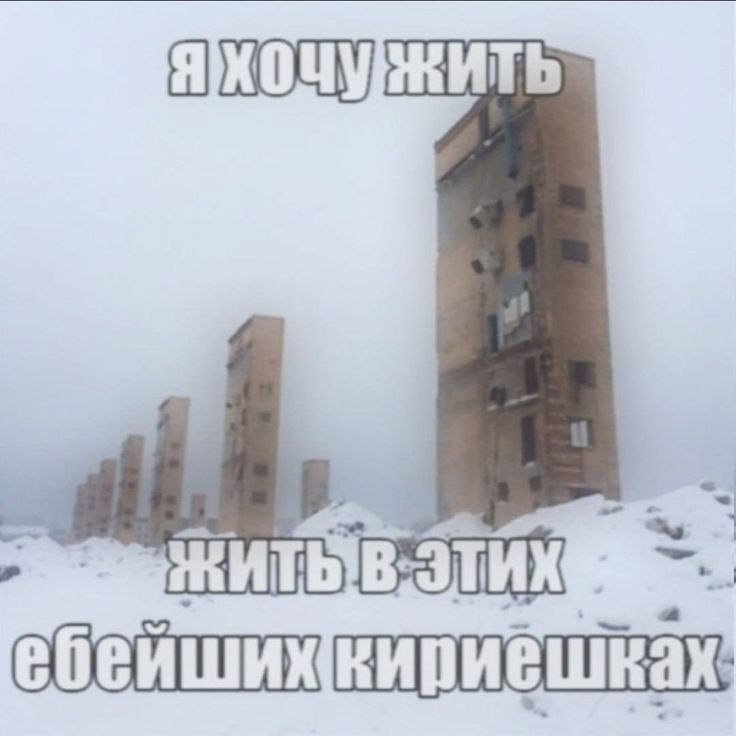 Кидайте в комментарии свои любимые картиночки — Мастер Вкида · Стрекоза