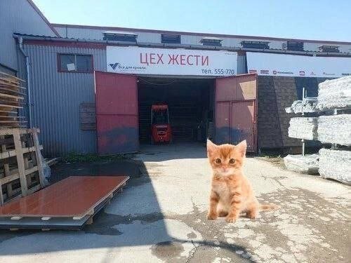 Пустовато здесь однако — ОБИТЕЛЬ НЕЛЕПОСТИ · Стрекоза