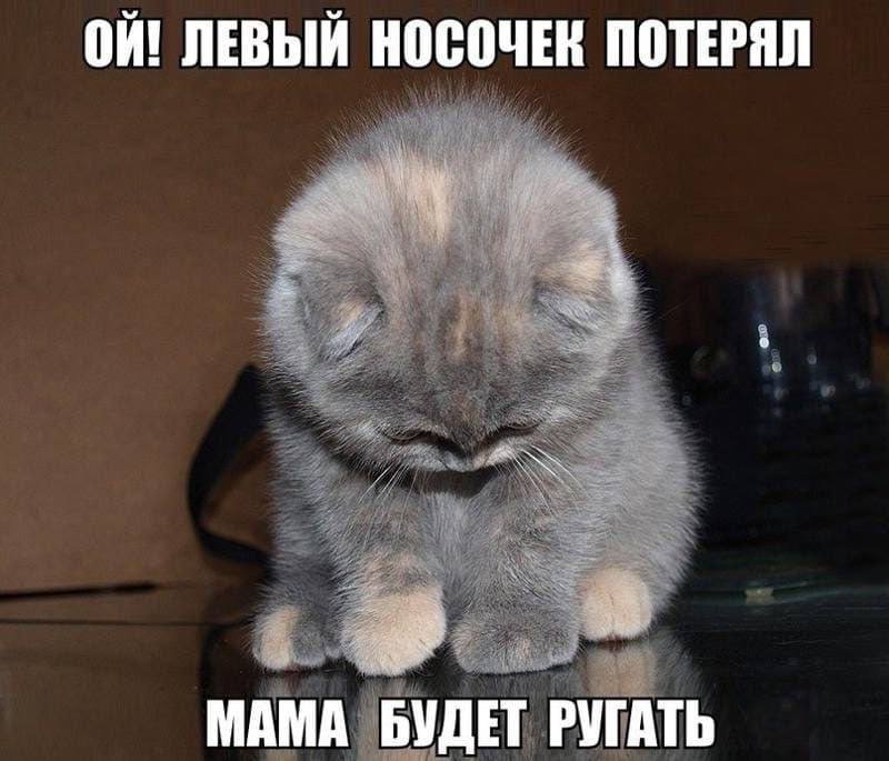 видели уже такую картинку да да мне похуй она милая — plohorosh · Стрекоза