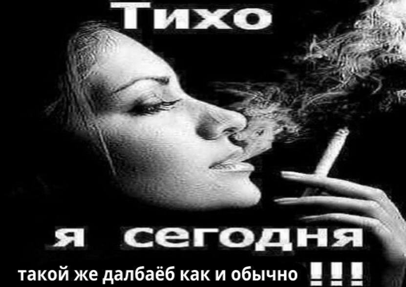 короче связь ребят, я так нихуя и не сделал из домашки, мляяяя — rgnrsOverdose · Стрекоза
