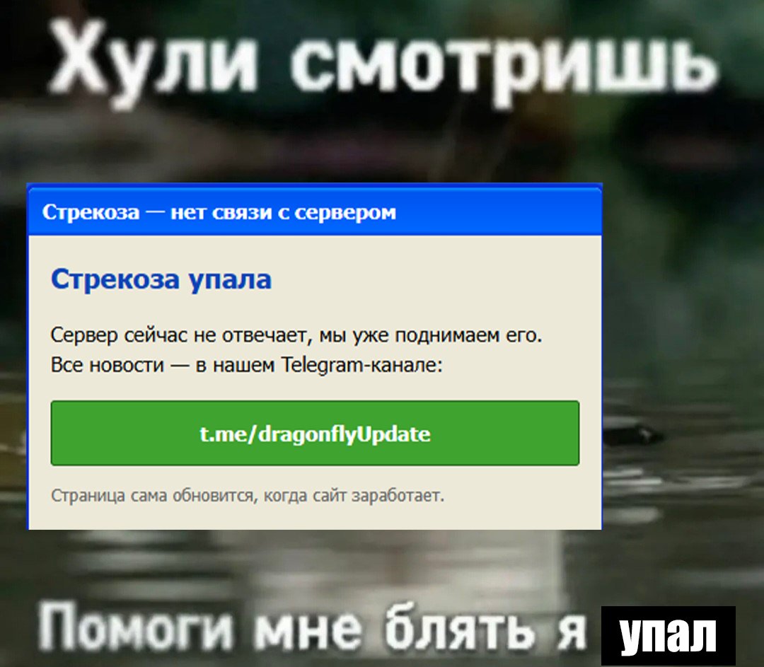 ждал падения серверов ради этого — Werfa · Стрекоза