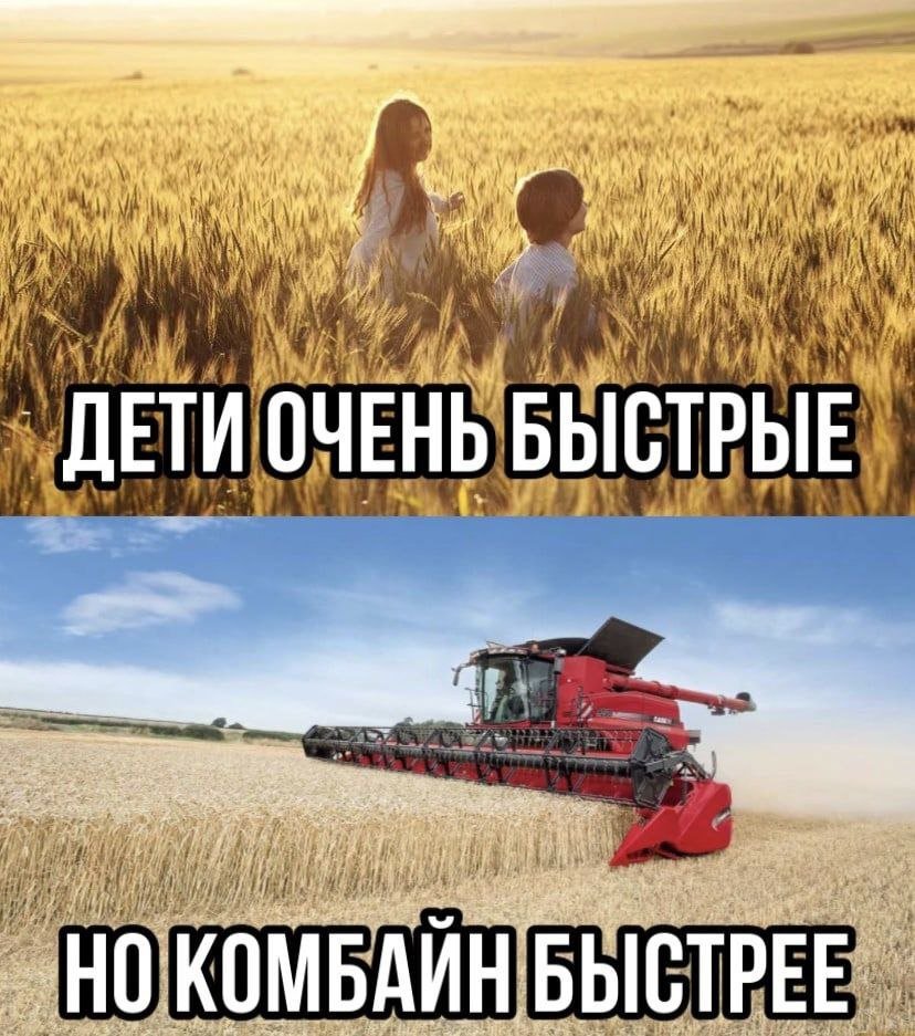 Доброй ночи, друзья ❤️ — milkglue · Стрекоза
