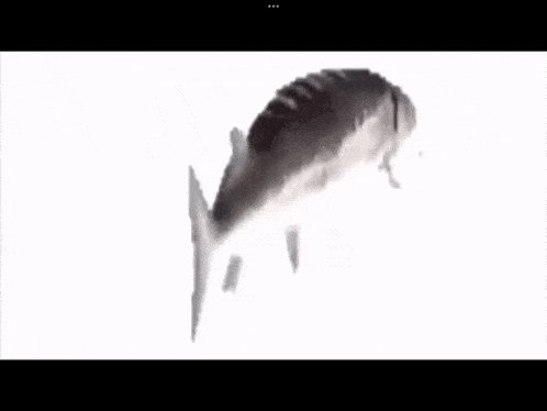 пиздец КАКАЯ НАХУЙ РЫБА — musor · Стрекоза