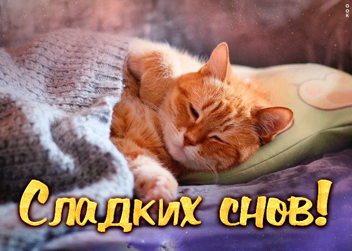 На улице ярко светит июльское солнце, а вторая волна людей впопыхах с… — nakam3n · Стрекоза