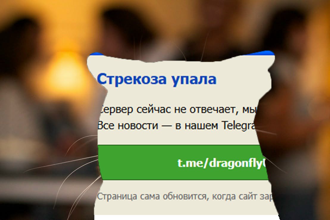 если долго сидеть на стрекозе... бля, опять? — Werfa · Стрекоза
