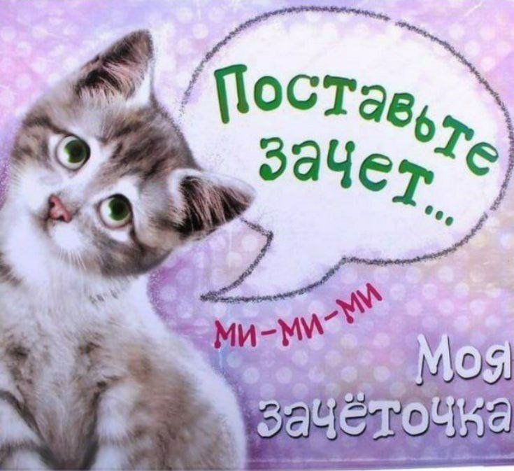 скор00000000000 ⚰⚰ — angel_f_kedaxx · Стрекоза