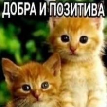 мя кстати оч прикалывает говорить не ставте лайки, а классы, прям как… — meowxxilz · Стрекоза