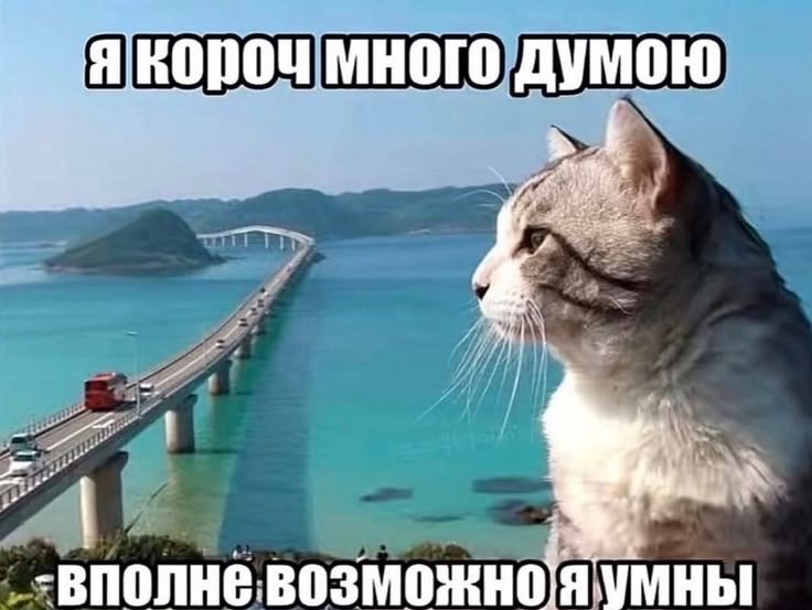 блин походу да — meowxxilz · Стрекоза