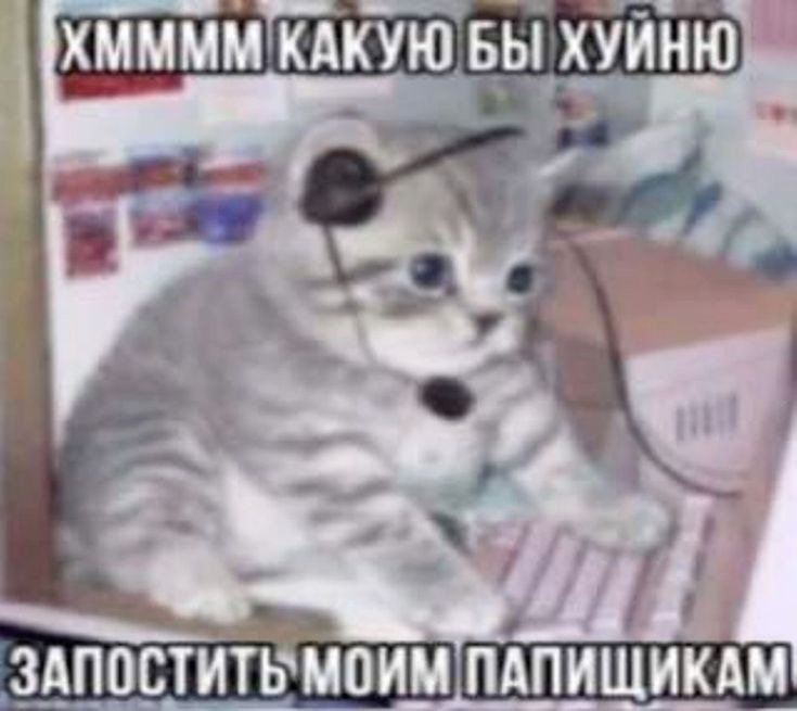вазможна это я в будущем — meowxxilz · Стрекоза