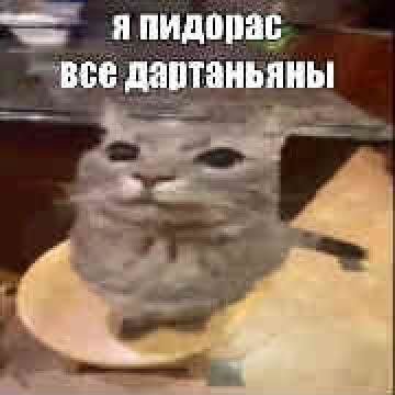 как новорег официально заявляю — Bidonchik44 · Стрекоза
