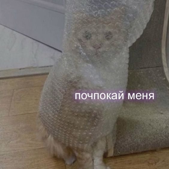 Бля, пошли пиздатые воспоминания. Типа, блин, я мало что помню, но я… — DeltaDi · Стрекоза